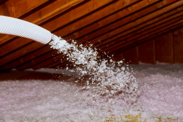 Best Types of Insulation in Casas Adobes, AZ