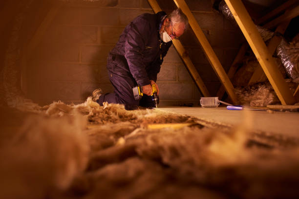 Best Commercial Insulation in Casas Adobes, AZ